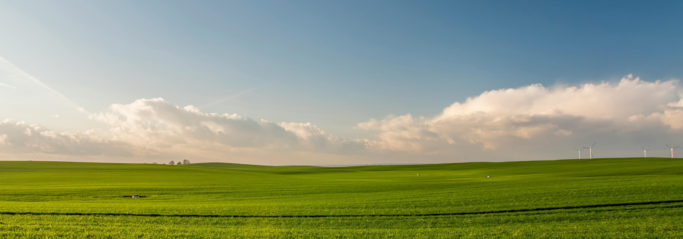 Titelbild: Grünes Feld und blauer Himmel.